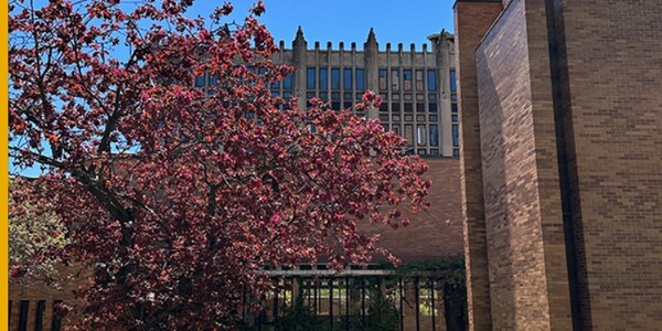 massey college