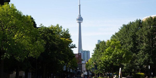 campus view with CN Tower in the background