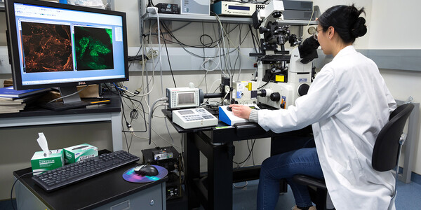 researcher looks in a microscope