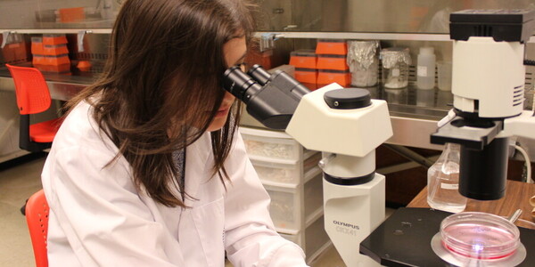 researcher looks through microscope