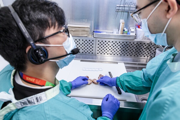 Researcher's prepare a specimen for examination