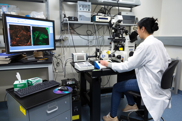 Research works at a lab bench