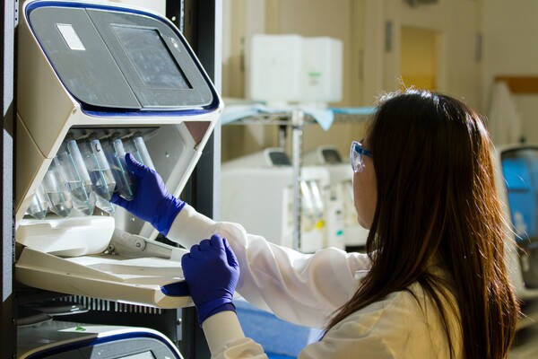 Scientist works at a lab bench.