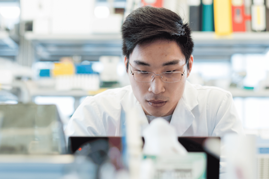 scientist works at a lab bench