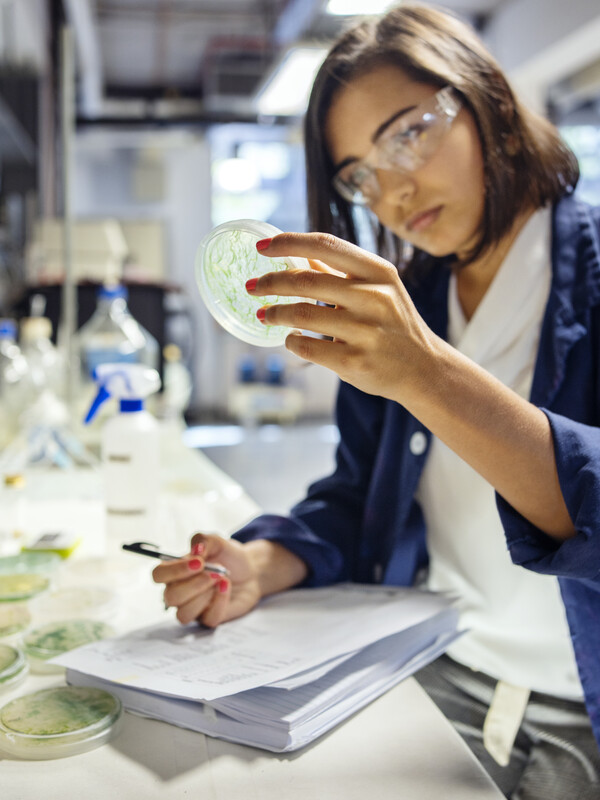 Researcher examines a petri dish while writing in a notebook