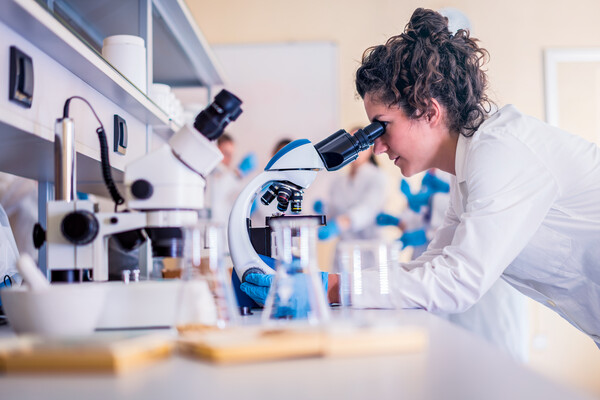 A researcher uses a light microscope